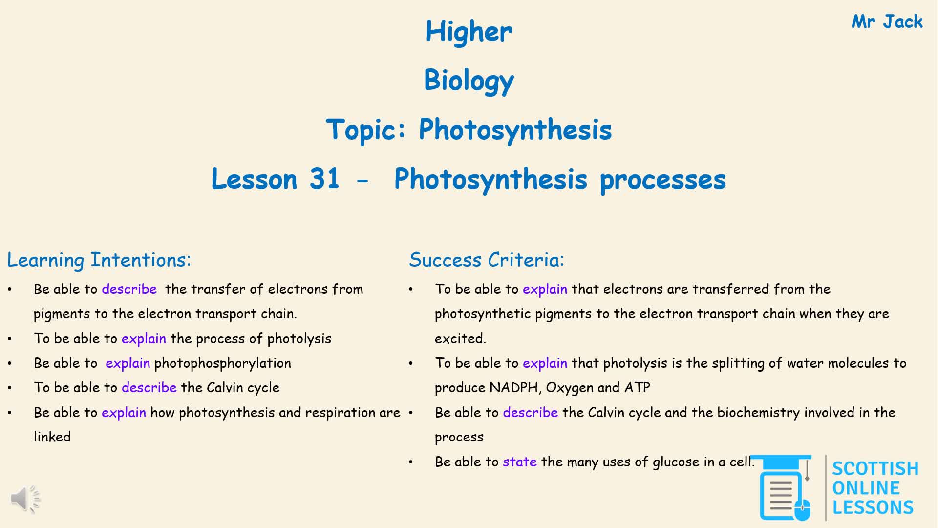 Photosynthesis Processes