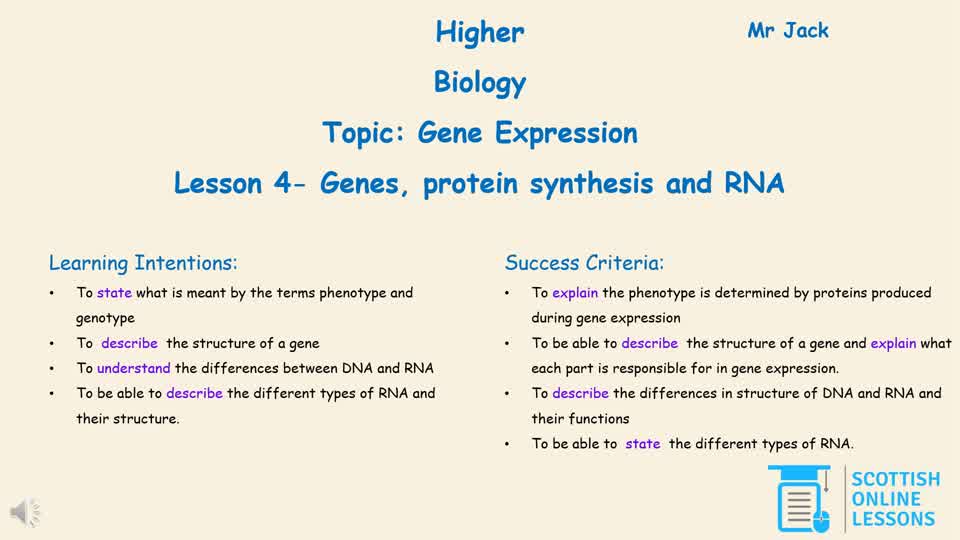 Genes, Protein Synthesis and RNA