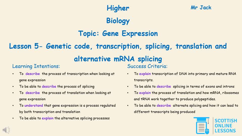 Genetic Code, Transcription, Splicing, Translation and Alternative mRNA Splicing