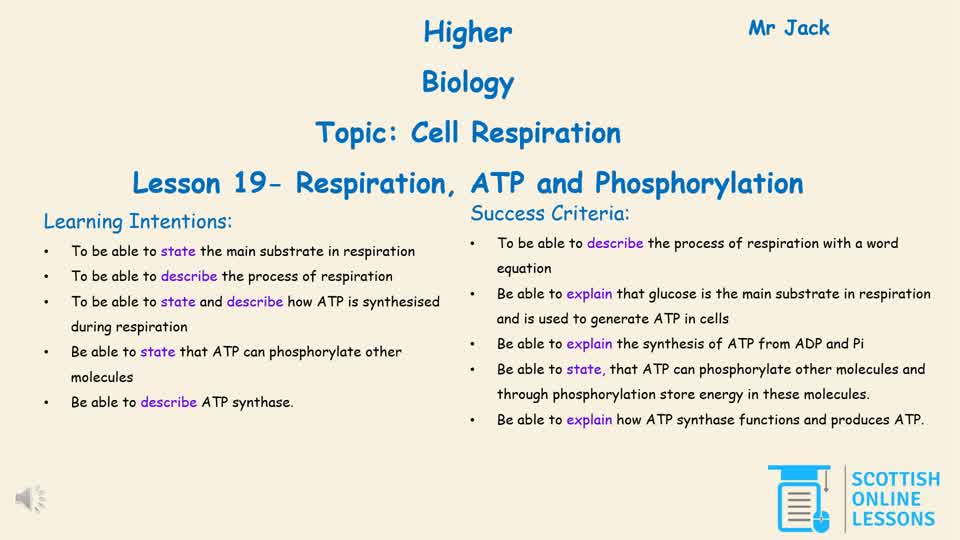 Respiration, ATP and Phosphorylation
