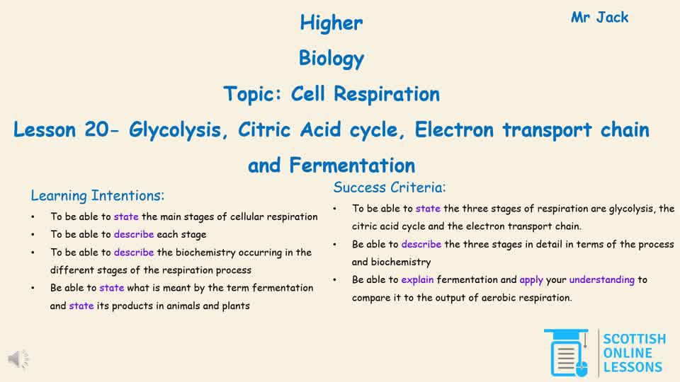 Glycolosis, Citric Acid Cycle, Electron Transport Chain and Fermentation