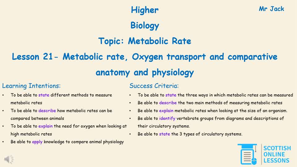 Metabolic Rate, Oxygen Transport and Comparative Anatomy and Physiology