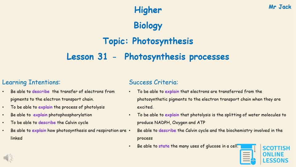 Photosynthesis Processes