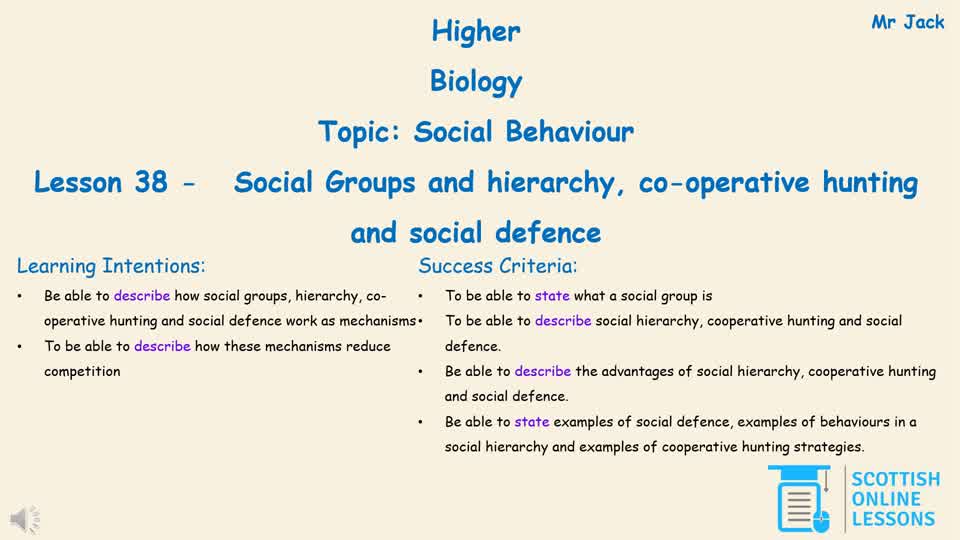 Social Groups and Hierarchy, Co-operative Hunting and Social Defence