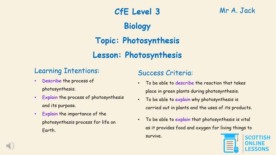 LvL 3 - Photosynthesis