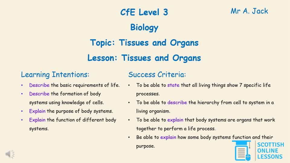 Lvl 3 - Tissues and Organs