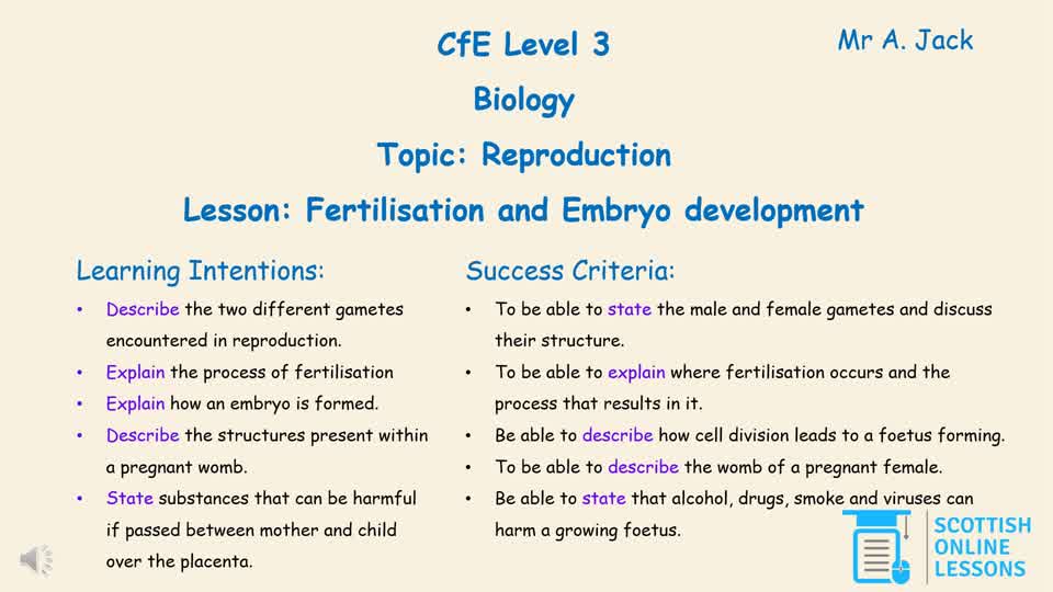 LvL 3 - Fertilisation and Embryo Development