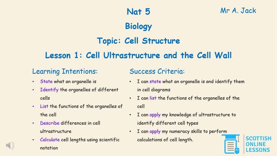 Cell Ultrastructure and Cell Wall
