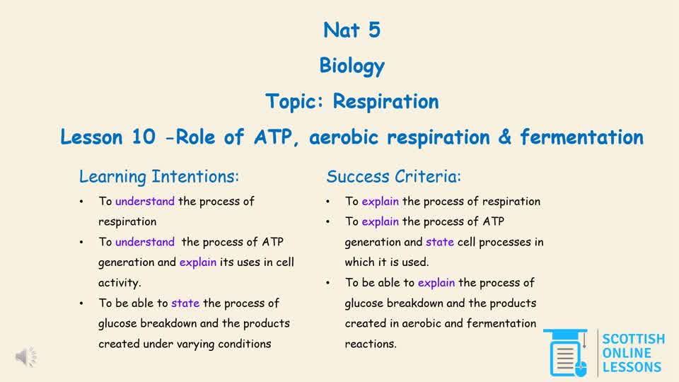 Role of ATP, Aerobic Respiration & Fermentation