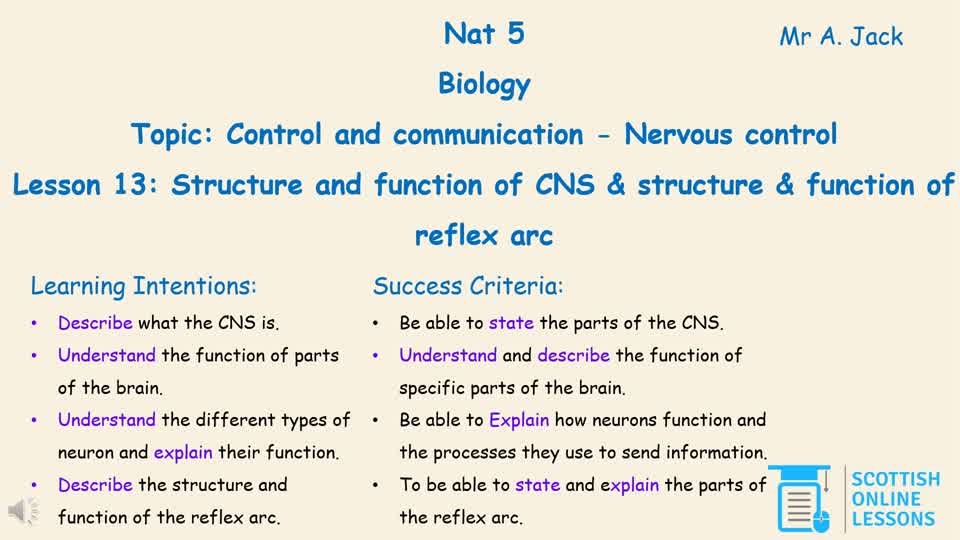 Structure and Function of CNS & Structure & Function of Reflex Arc