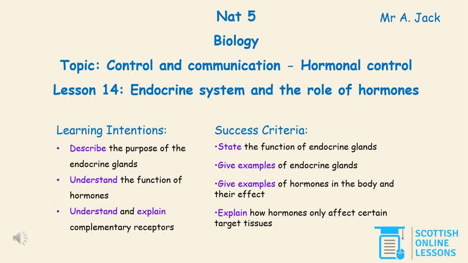 Endocrine System & Role of Hormones. 