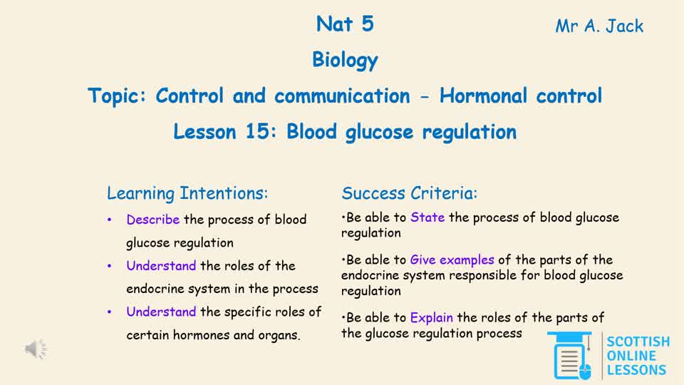 Blood Glucose Regulation