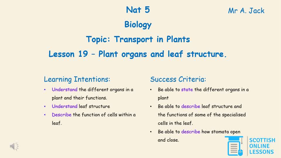 Plant Organs and Leaf Structure