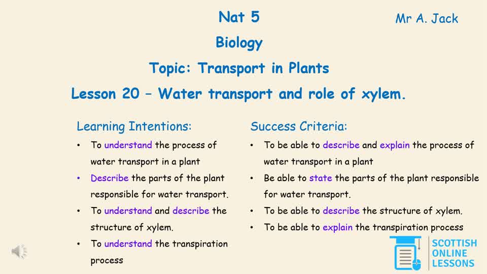 Water Transport and Role of Xylem