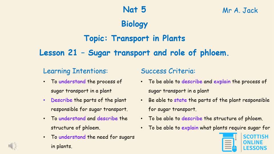 Sugar Transport and Role of Phloem