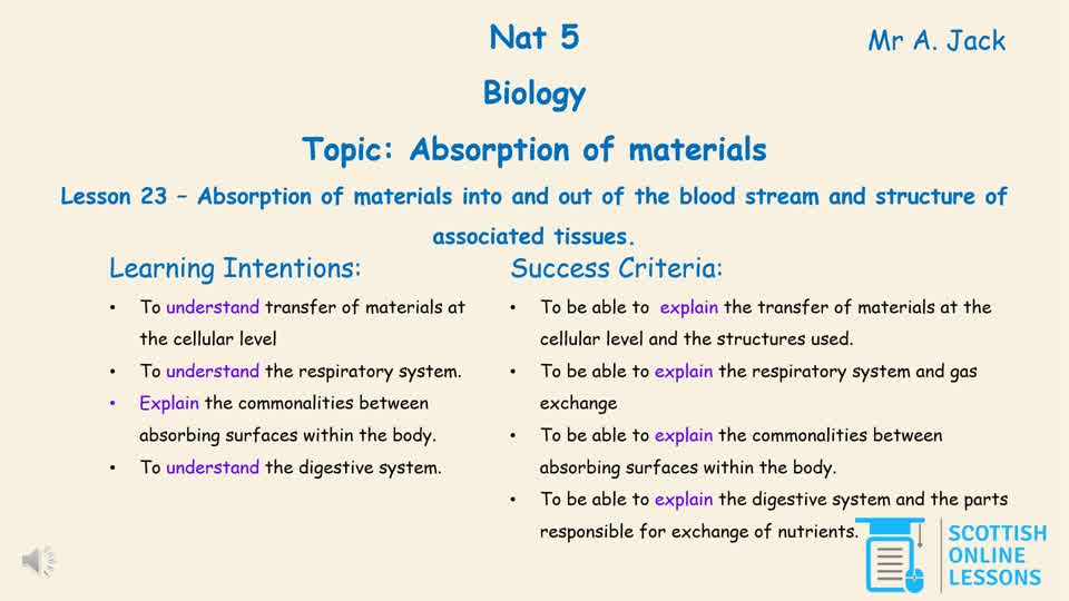 Absorption of Materials into and out of Blood Stream & Structure of Associated Tissues.