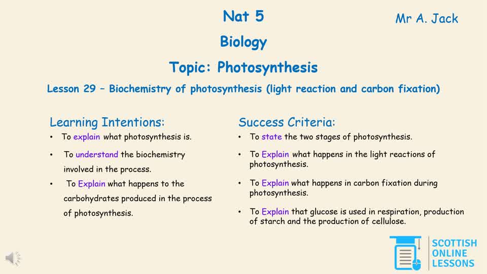 Biochemistry of Photosynthesis (light reaction & carbon fixation)