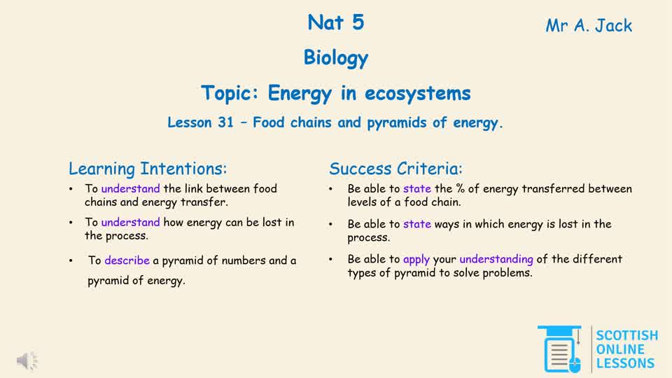 Food Chains and Pyramids of Energy